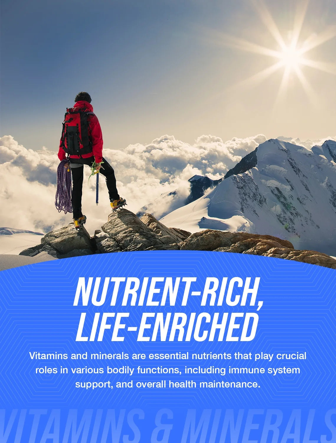 Bulksupplements Nicotinamide Adenine Dinucleotide (NAD) Powder - 500Mg per Serving - 10 Grams (0.4 Oz) - 20 Servings