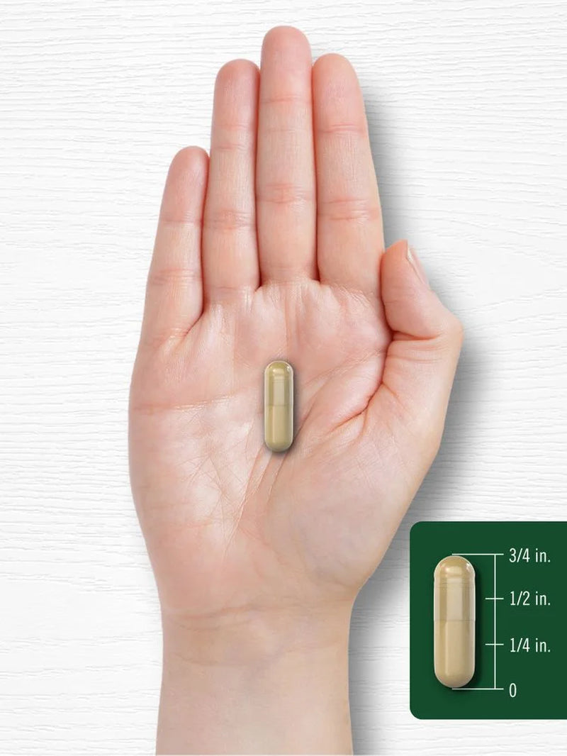 Pueraria Mirifica Extract | 1000Mg | 120 Capsules | by