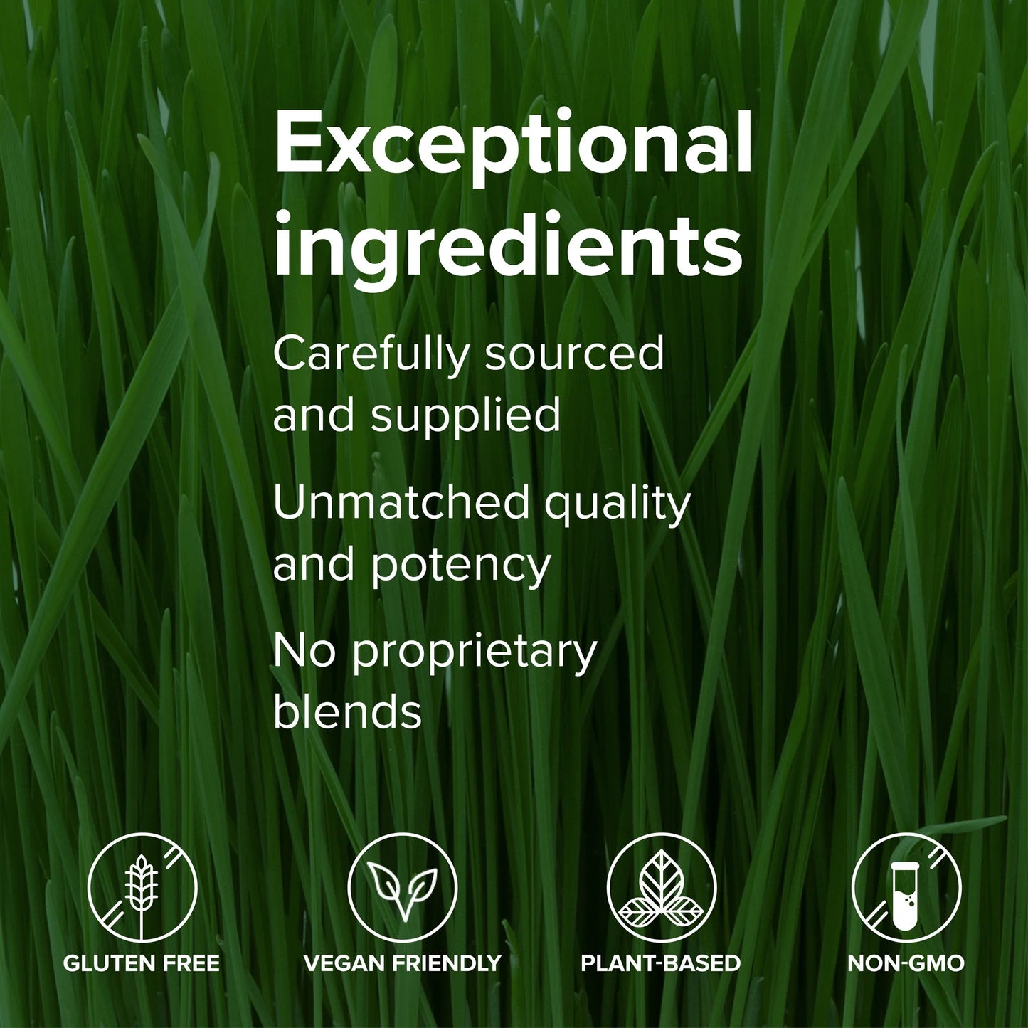 , Green Vibrance, Vegan Superfood Powder, 83 Servings